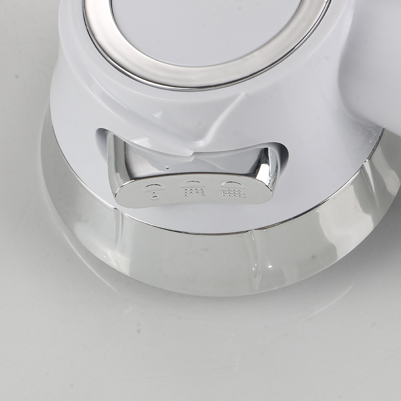 Flow beyaz duş başlığı